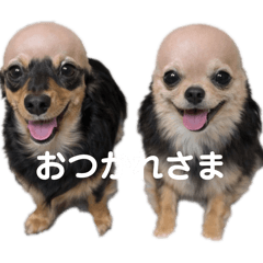 ayumi_20260302184514