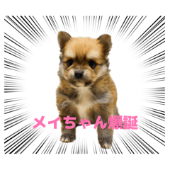 mamichan_20260302181737