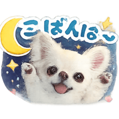 Pororo_20260302215757