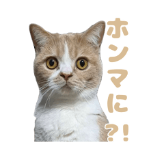 Mugi_20260302220554