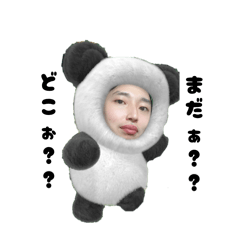 koara_20260302233517