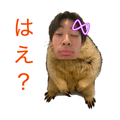 MUR_20260302234033