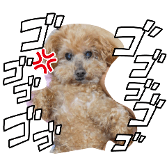 ATOMU_20260302191905