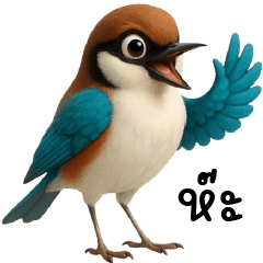 Pitta bird cute cute