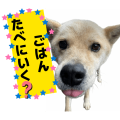 Niina_20260302150042