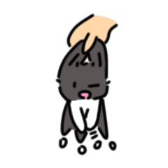 小黑兔今天也努力了