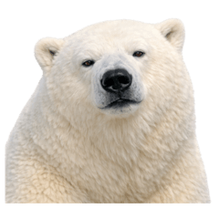 Grandma_20260302200618