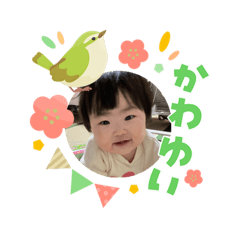 kinaco_20260303011854