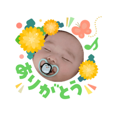 temtemmam_20260303080645