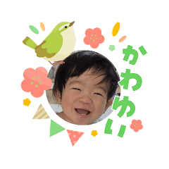 shikiyu_20260303080905