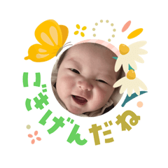 katsura_20260303082418