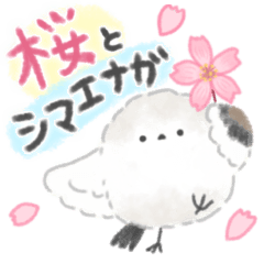 ふんわり桜の香り✨シマエナガ✨