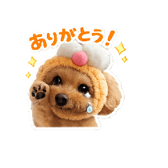 runa_20260302182100