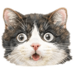 yururin_20260302182624