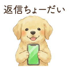 Golden Retriever(line)