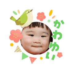 kankan lab_20260303093015