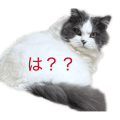 K_20260303093724