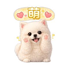 小博美泡芙～每天都想被抱抱