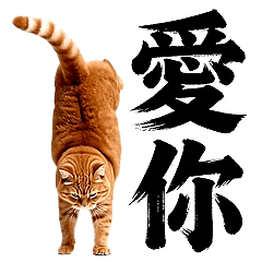 Disdainful Cats - Backflip Edition (FS)