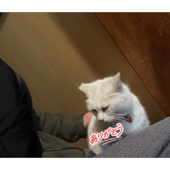 yuto_20260302202619