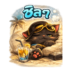 ROKA Everyday Chaos Vol.2