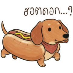 Dachshund: Healing Daily Life (Thai)