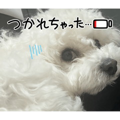 rei_20260302222359
