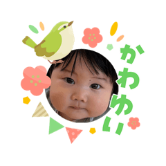 suzu_20260303074210