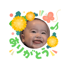 serizawa_20260303084309