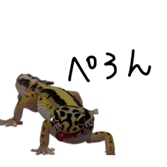 k_20260302210124