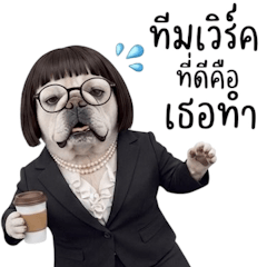 ออฟฟิศสไตล์โฮ่งโฮ่ง 8 (BGZ)