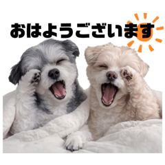 marukoro_20260303005355