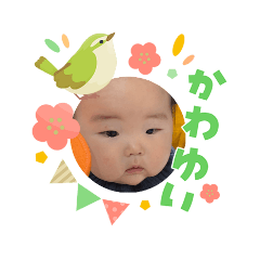 HAYA haru_20260303105303