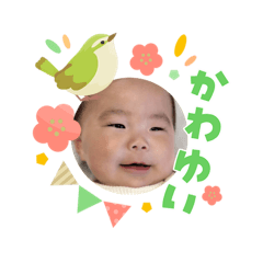 yuzu.0726_20260303104820