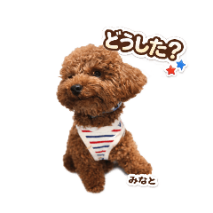 mi-san_20260302221145