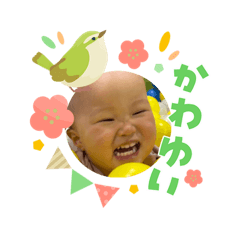yonkou_20260303063207