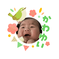 suzu_20260303114222