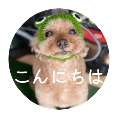 Yukirin_20260302230834