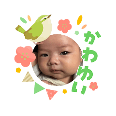 masa_20260303101301