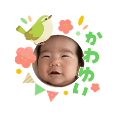 RIHO_20260303101921