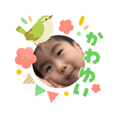 naoshiho_20260303110310