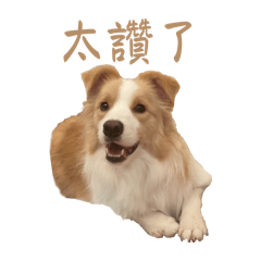摳圖 成長篇
