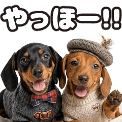 動く！ダックスの子犬
