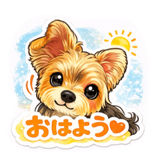 Every day with my dog