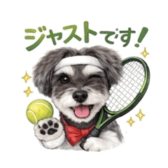 aoaoaowan_20260302224209