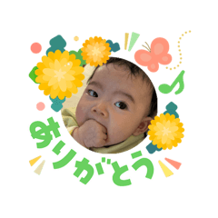 sacho_20260303022212