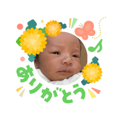 mqssqn_20260303025308