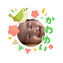 nanchan_20260303103708