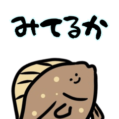 Flounder is Watching You vol.2