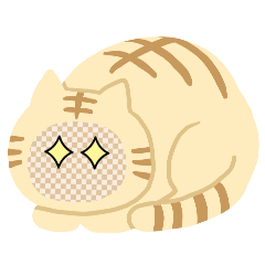 Mameta works_20260303004818